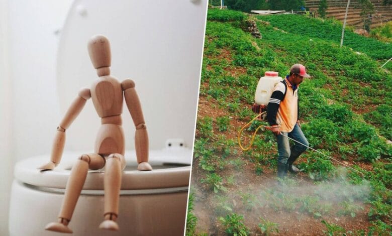 Imagen de una persona sosteniendo un frasco de glifosato