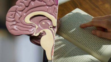 Persona leyendo un libro, con un título que dice 'La lectura y la escritura pueden ayudar a retrasar el Alzheimer'