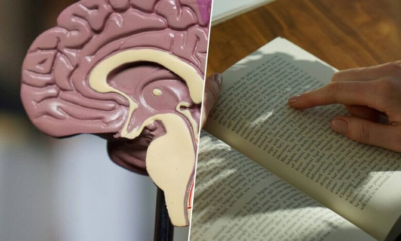 Persona leyendo un libro, con un título que dice 'La lectura y la escritura pueden ayudar a retrasar el Alzheimer'
