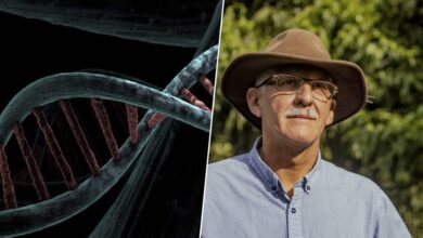 Ilustración del cromosoma Y