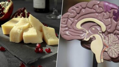 Imagen de un plato de queso curado con frutas y nueces