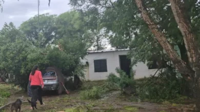 Imagen de daños causados por el temporal en una localidad de Córdoba
