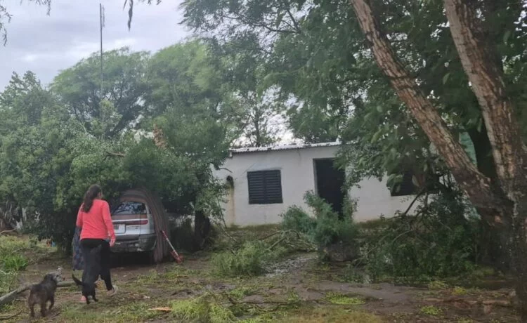 Imagen de daños causados por el temporal en una localidad de Córdoba