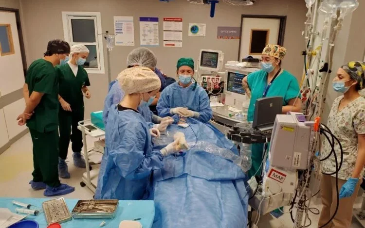 Equipo médico realizando una ablación por microondas de tiroides en un hospital