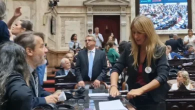 Florencia Carignano desconecta cables en el recinto de Diputados