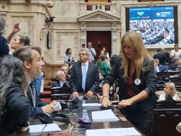 Florencia Carignano desconecta cables en el recinto de Diputados