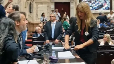 Florencia Carignano en una sesión de Diputados