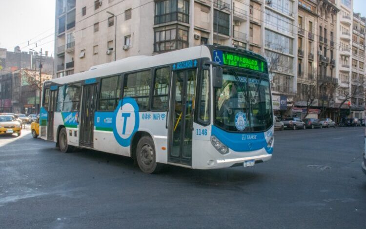 Colectivos parados en una calle de Córdoba