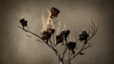 Imagen de la muestra 'El incendio de las flores' de Candelaria Magliano