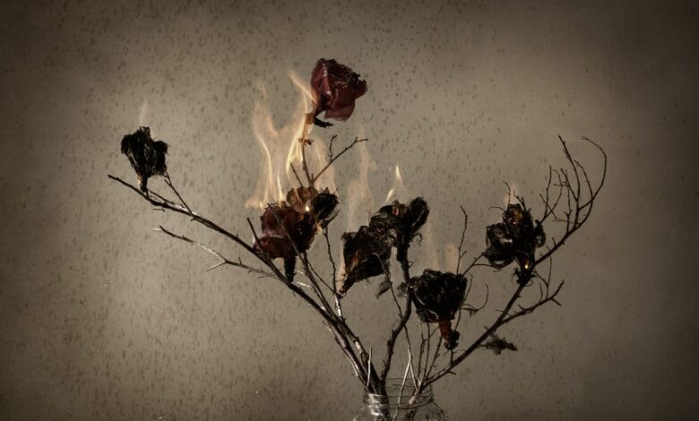 Imagen de la muestra 'El incendio de las flores' de Candelaria Magliano