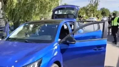 Imagen de un perro policía detectando marihuana en un vehículo