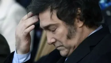 Gráfico de la confianza en el gobierno de Javier Milei