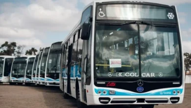 Colectivos en la calle, transporte urbano en Córdoba