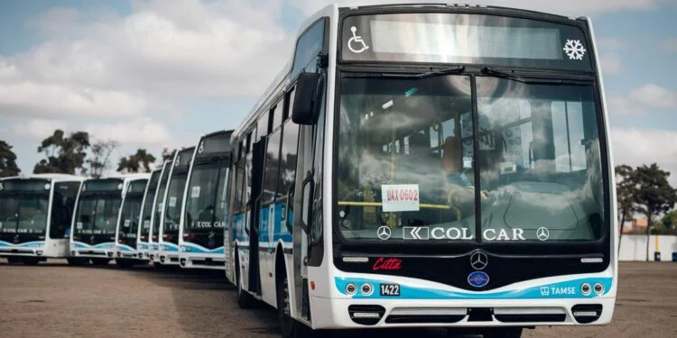 Colectivos en la calle, transporte urbano en Córdoba