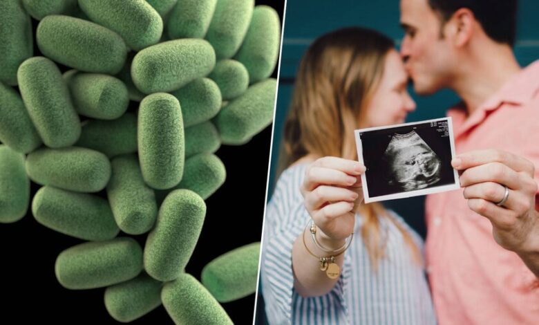 Ilustración de bacterias intestinales y óvulos