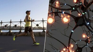 Persona corriendo en un parque, simbolizando el ejercicio como fuente de salud cerebral