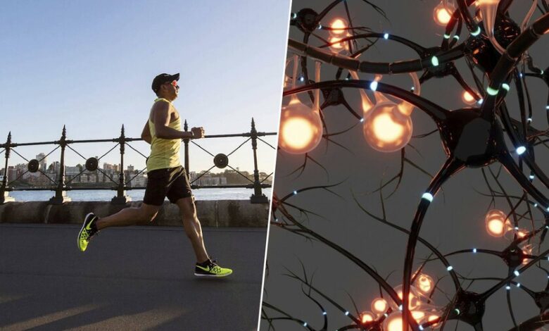 Persona corriendo en un parque, simbolizando el ejercicio como fuente de salud cerebral