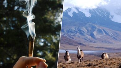 La pipa de hueso de puma en la Puna de Jujuy