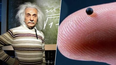 Microrrobots guiados por la relatividad de Einstein