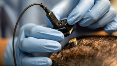 interfaz cerebro computadora