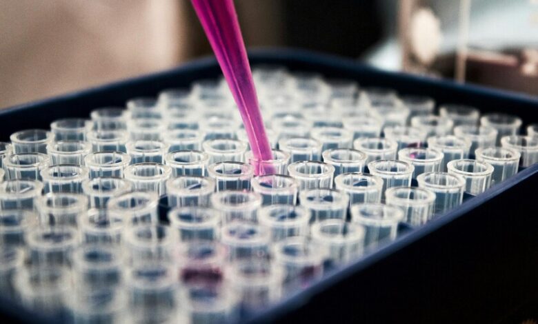 Células T 'con turbo' para combatir el cáncer de próstata