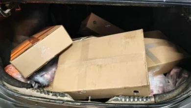 Imagen de un frigorífico con carne