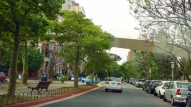 Corredores en la maratón 'La Milla Argentina' en Ciudad Universitaria