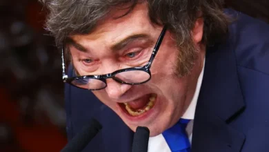 Javier Milei en el Congreso de la Nación