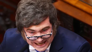 Javier Milei en el Congreso