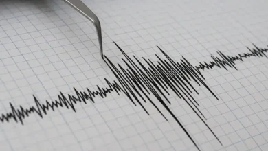 Imagen de un sismógrafo registrando un terremoto