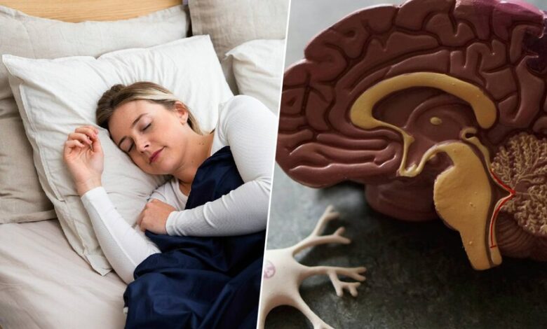 Un hombre duerme y soñando, con una expresión serena en su rostro.