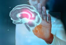 Ilustración de un cerebro humano con conexiones neuronales