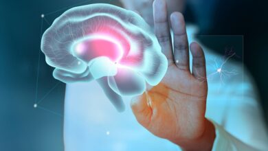 Ilustración de un cerebro humano con conexiones neuronales