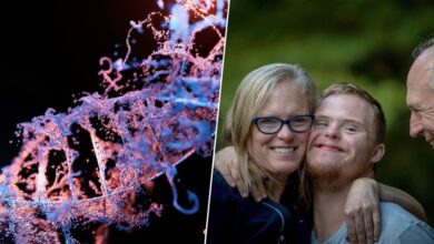 Imagen de una célula con cromosomas, representando la edición génica