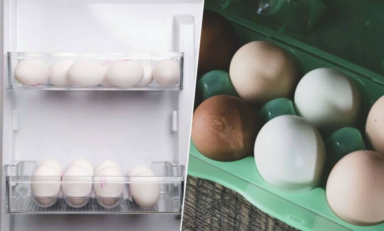 Huevos en nevera, conservación segura