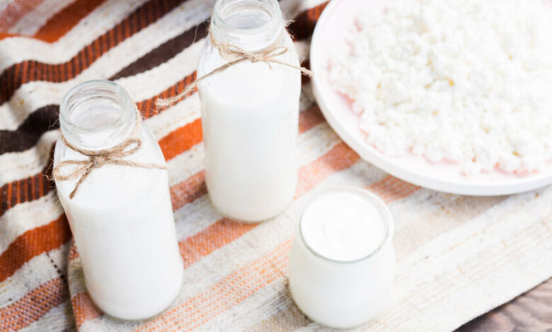 Kefir vs yogur: ¿Cuál es mejor para la salud?