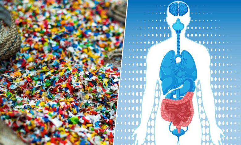 Ilustración de microplásticos en el intestino humano
