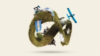 Argentina entre la normativa ambiental y la concentración de un modelo extractivista