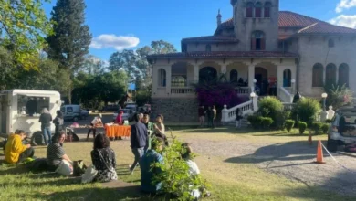 Imagen de una persona trabajando en una estación de animación