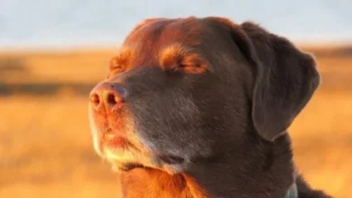 Imagen de un parque en Córdoba con cielo despejado y personas disfrutando del sol
