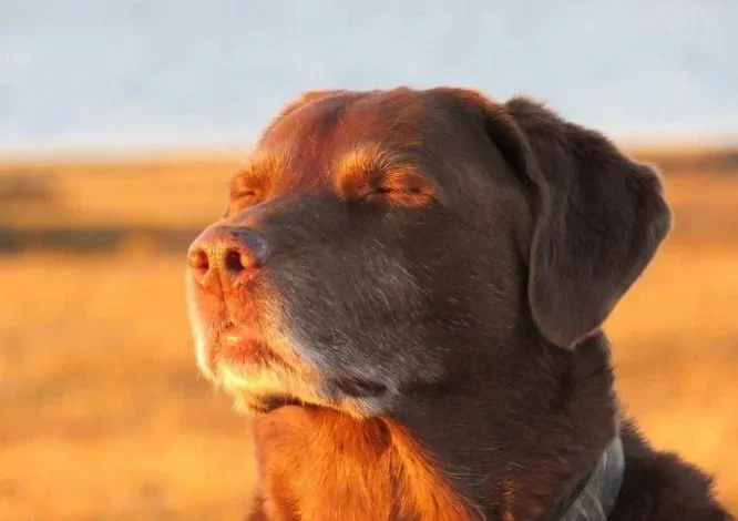 Imagen de un parque en Córdoba con cielo despejado y personas disfrutando del sol
