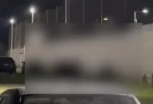 Imagen de un partido de rugby con jugadores y jugadoras reunidos