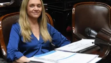 Diputada Gabriela Flores en sesión del Congreso