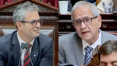 Sergio Palazzo y Martín Menem en la Cámara de Diputados