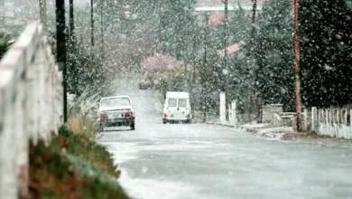 Imagen de nieve en una zona rural de Buenos Aires
