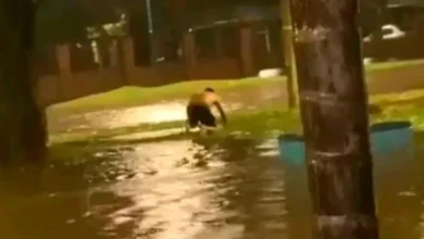 Imagen de una zona inundada en Tucumán
