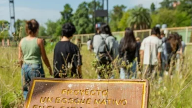 Universidad Provincial de Córdoba promueve la innovación productiva regional