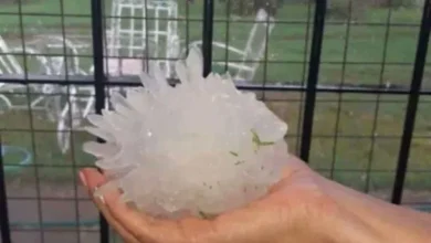 Imagen de la tormenta en Río Tercero, con árboles caídos y calles anegadas
