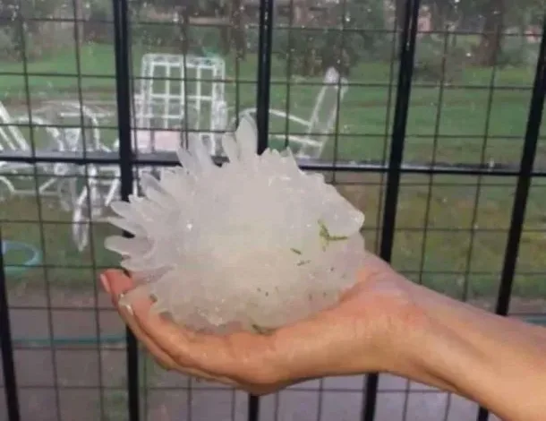 Imagen de la tormenta en Río Tercero, con árboles caídos y calles anegadas