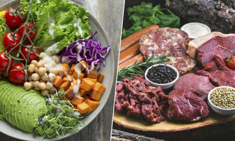 Una variedad de alimentos vegetales ricos en proteínas, como legumbres, frutas, verduras y semillas.